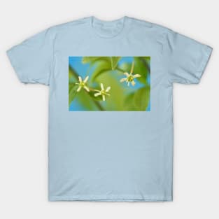 Euonymus europaeus  &#39;Red Cascade&#39;   AGM  Spindle  Flowers T-Shirt